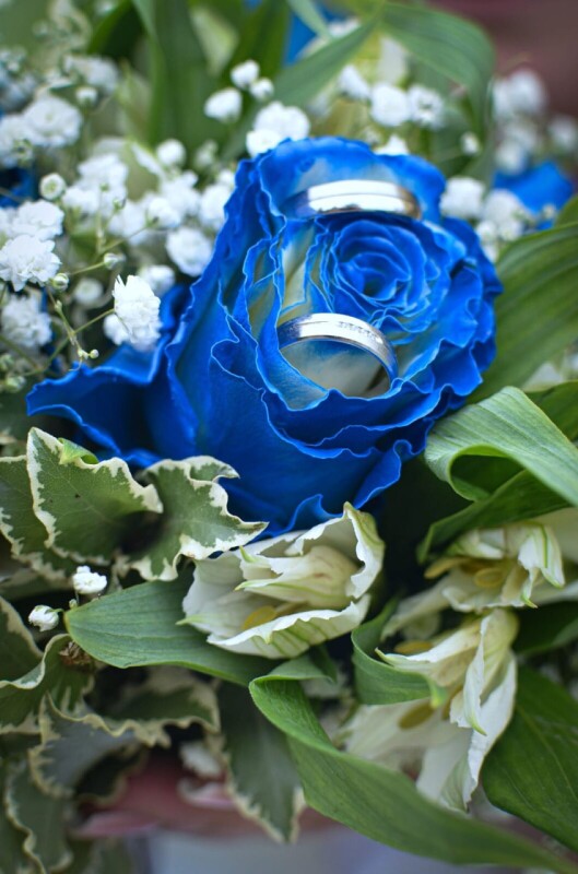 WhatsApp Image 2026-03-10 at 12.06.17